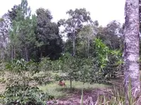 FILE0032.webp FILE0032.webp