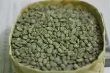 bean.webp bean.webp