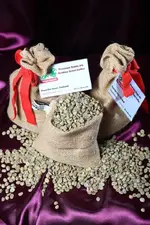 green coffee samples.webp green coffee samples.webp
