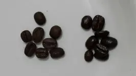 Coffee.webp