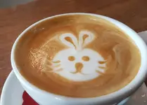 9697d1535380685-latte-art-videos-29683558_603297846673115_8936113233705801854_n.jpg