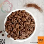 2020.08.31 robusta beans.webp