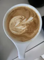 1648180441181.jpg