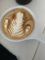 1648518919150.jpg