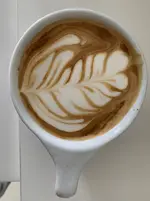 1649125083782.jpg