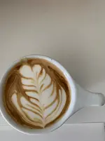 1649125096555.jpg