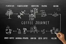 coffee-journey.webp