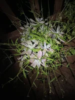 IMG_1430.webp