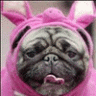 ElPugDiablo