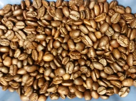 Kaldi home roaster