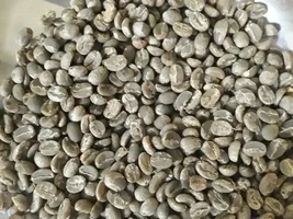 Hello from Colombia, Delgus Coffee 100% Organic