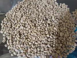 Hello from Colombia, Delgus Coffee 100% Organic