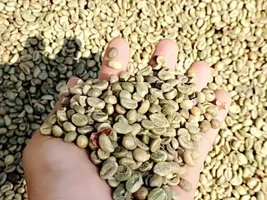 Coffe for Sale