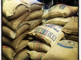 How do professional roasteries store their green coffee beans?