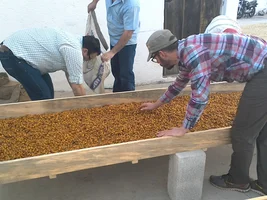 Favorite Single Origin Coffees?