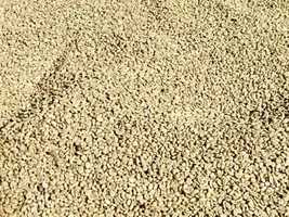 Welcome to Coffee Business to Business.