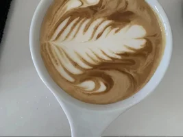 Help: Newbie Latte Art Diagnosis (Cont Update)