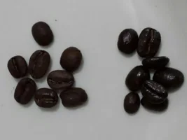 Question about a coffee bean order I just received