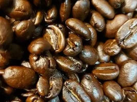 Establishing Coffee Processing Factory - Plant in Egypt