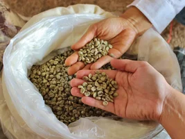 For Sale: Single-Origin Thai Coffee - Closing Business