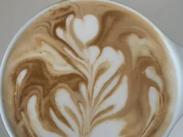Help: Newbie Latte Art Diagnosis (Cont Update)