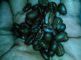 Guatemalan Huehuetenango by FreshRoastedCoffee LLC