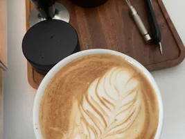 Help: Newbie Latte Art Diagnosis (Cont Update)