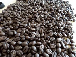 My home roasts!