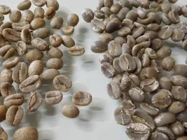 Guatemalan Huehuetenango by FreshRoastedCoffee LLC