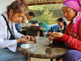 For Sale: Single-Origin Thai Coffee - Closing Business