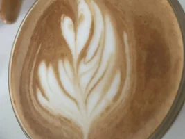 Help: Newbie Latte Art Diagnosis (Cont Update)