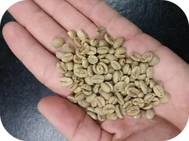 Looking for a green coffee supplier