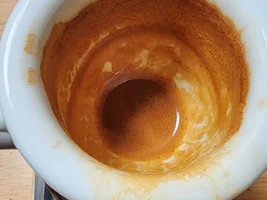 Need HELP with Breville Barista Pro