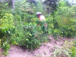 Have land in Horrendous that produces over 5,000 lbs of beans - Need advice