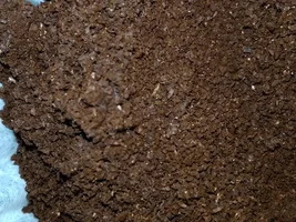 Is this ground coffee still good ? It looks bad.  How long does coffee stay good?