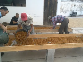 Favorite Single Origin Coffees?