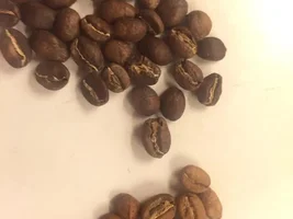 My fresh coffee tastes bad