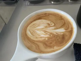Help: Newbie Latte Art Diagnosis (Cont Update)