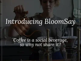 Introducing BloomSay