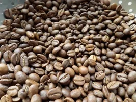 My home roasts!