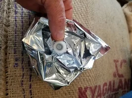 coffee degassing process? For FASTEST method?