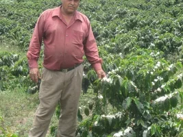 For sale Honduras coffee in Baltimore