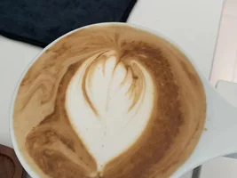 Help: Newbie Latte Art Diagnosis (Cont Update)