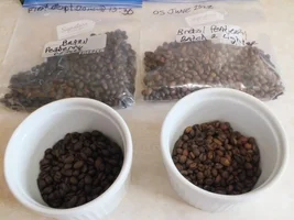 Hmm, Mexican Altura sure roasts fast.