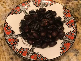 Homegrown coffee plant