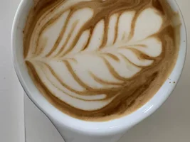 Help: Newbie Latte Art Diagnosis (Cont Update)