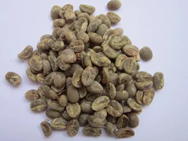 bean storage test