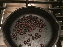 Homegrown coffee plant