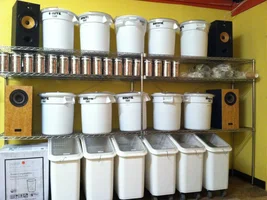 Roastery pics