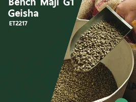 BeanCraft Innovations BCI-400 Pre-Launch—$400 Roaster + Free Geisha Beans